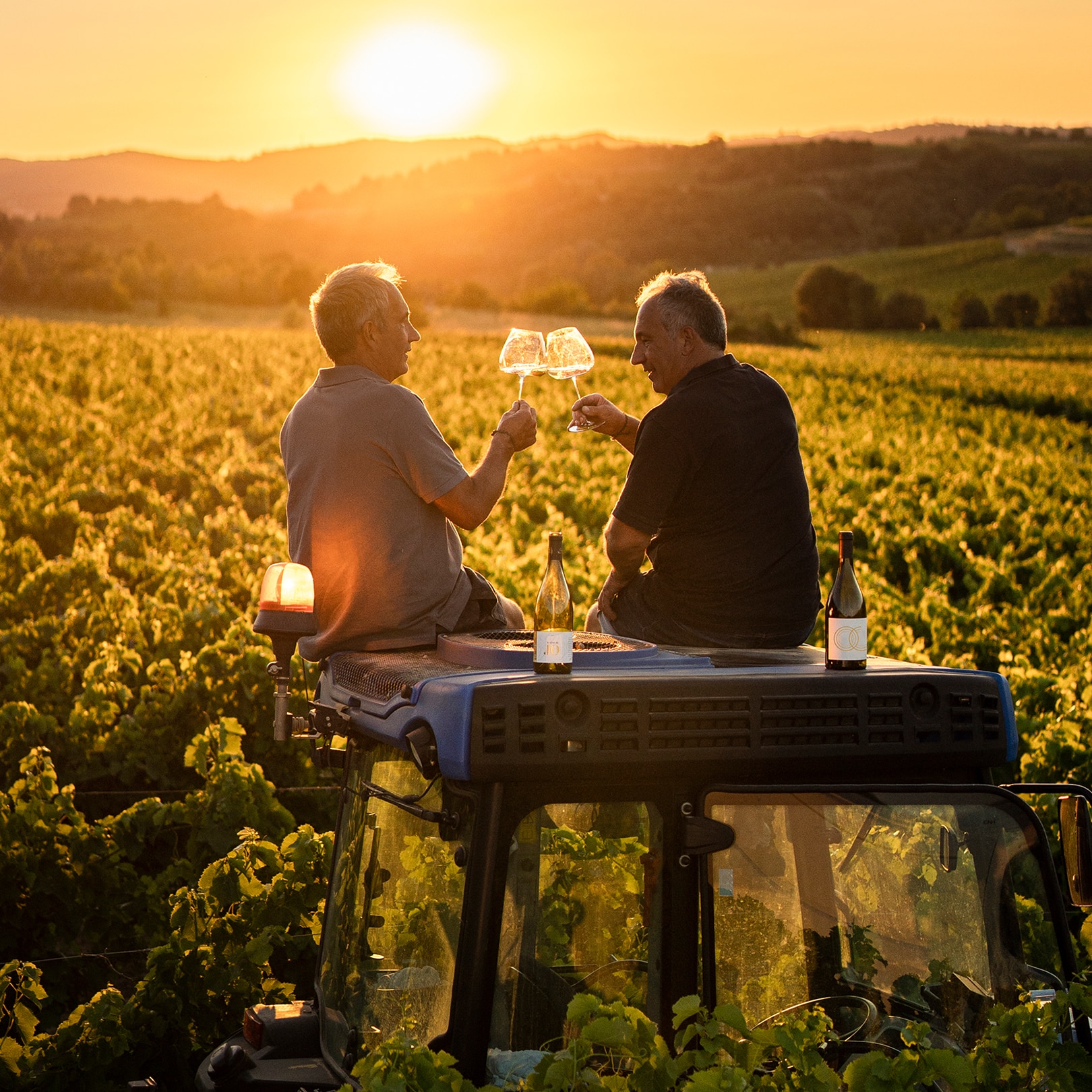 Deux vignerons avec des verres de vin Pays d'Oc IGP dans une vigne, un client de l'agence conseil Les Dissidents