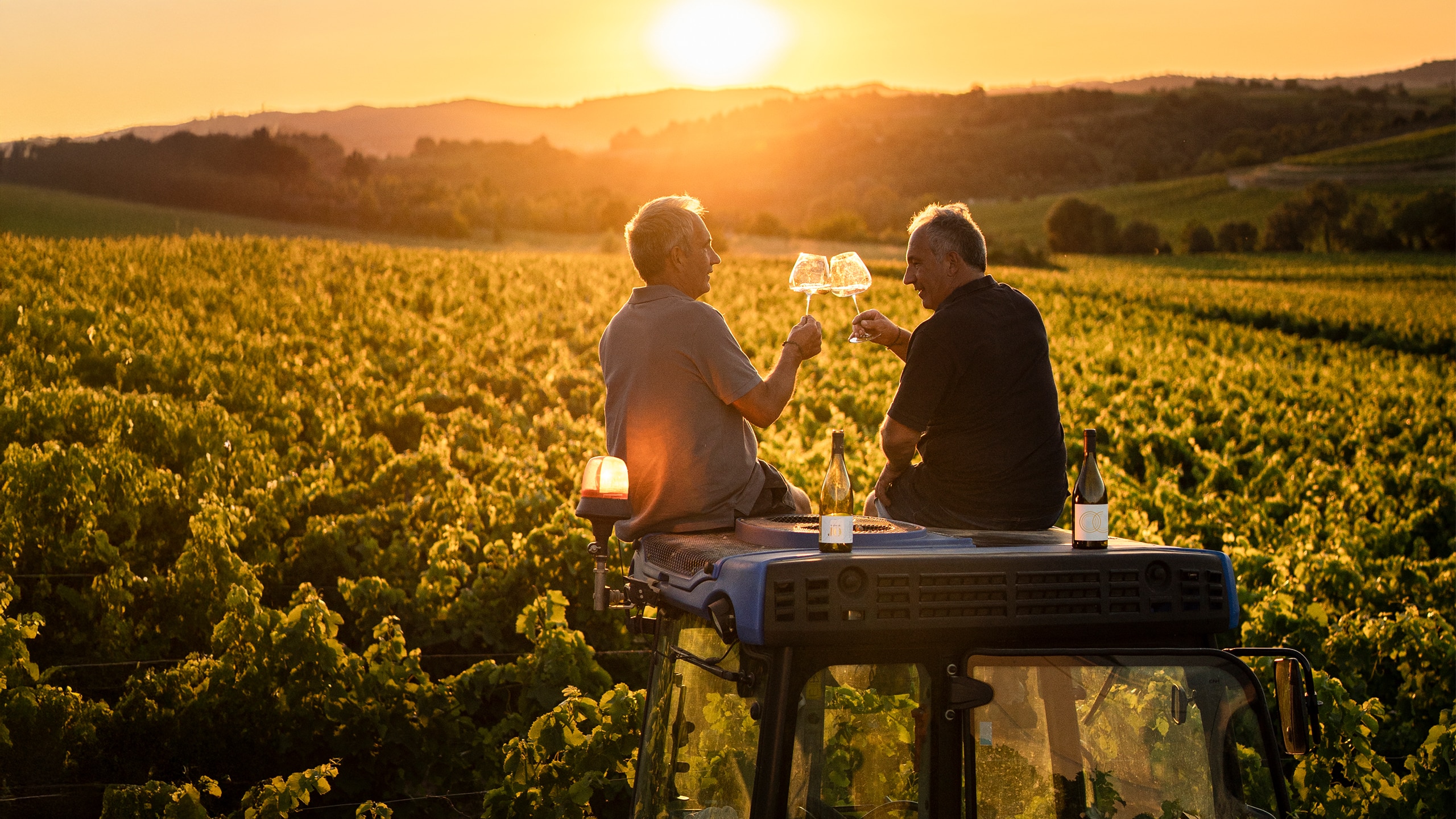 Deux vignerons Pays d'Oc IGP dans un champ de vigne, avec un coucher de soleil, par Les Dissidents basés à Montpellier