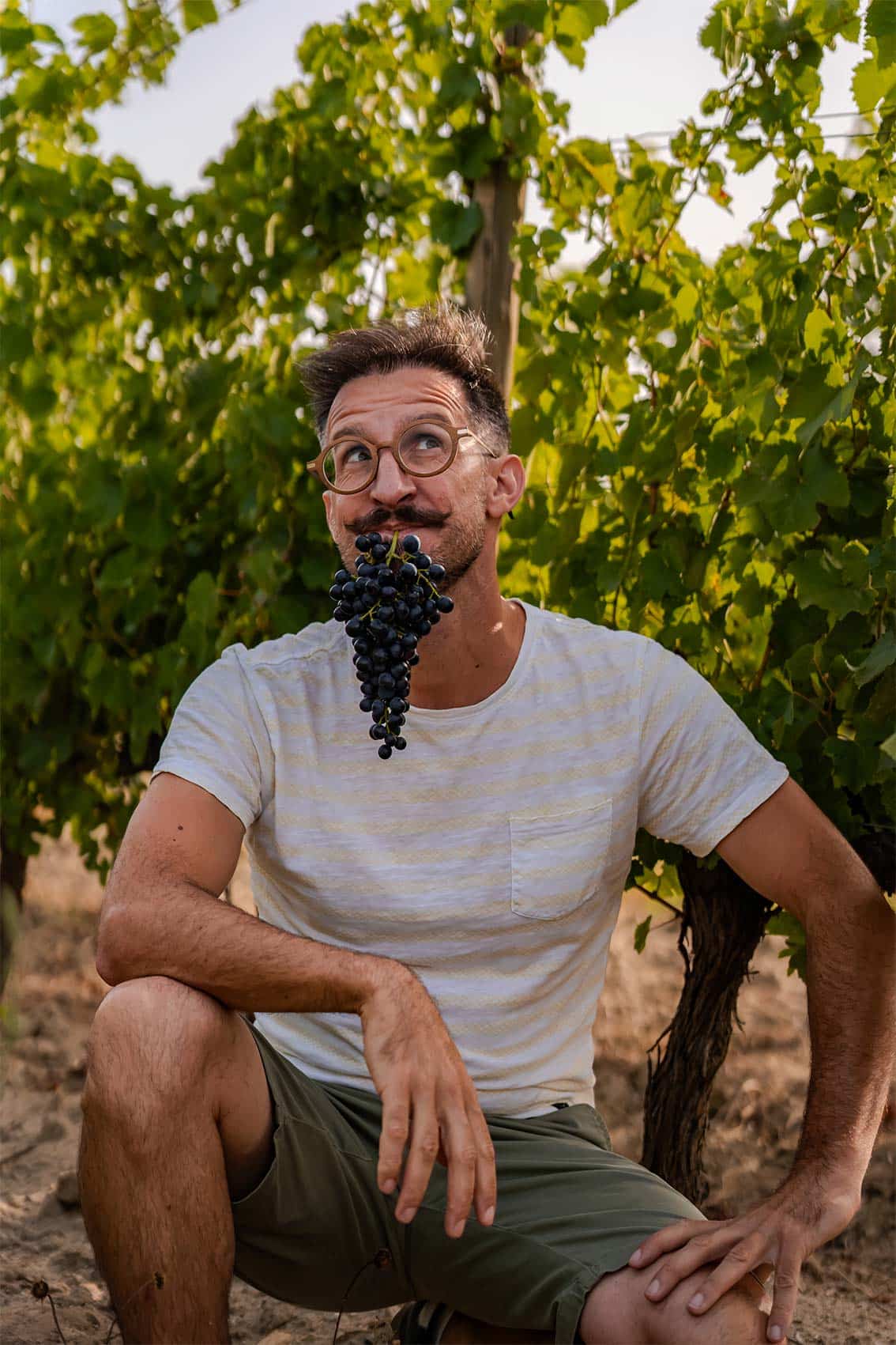 Photo réalisée par le photographe professionnel Les insensés représentant un wine marker dans une vigne Pays d'Oc IGP